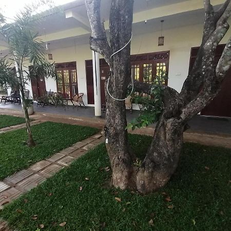 Sigiriya Green Garden Homestay Экстерьер фото