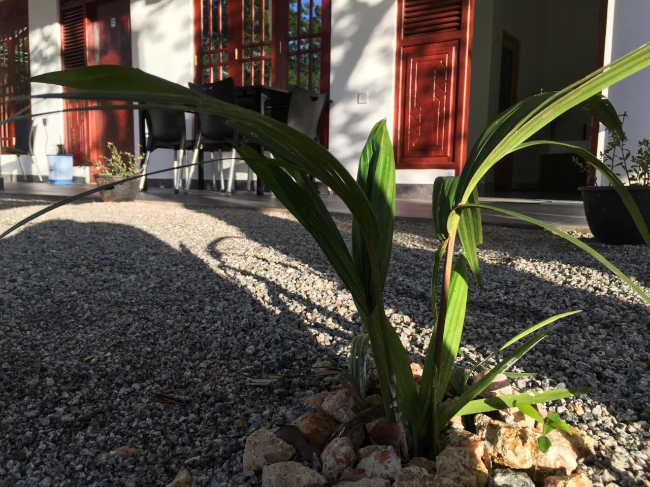 Sigiriya Green Garden Homestay Экстерьер фото