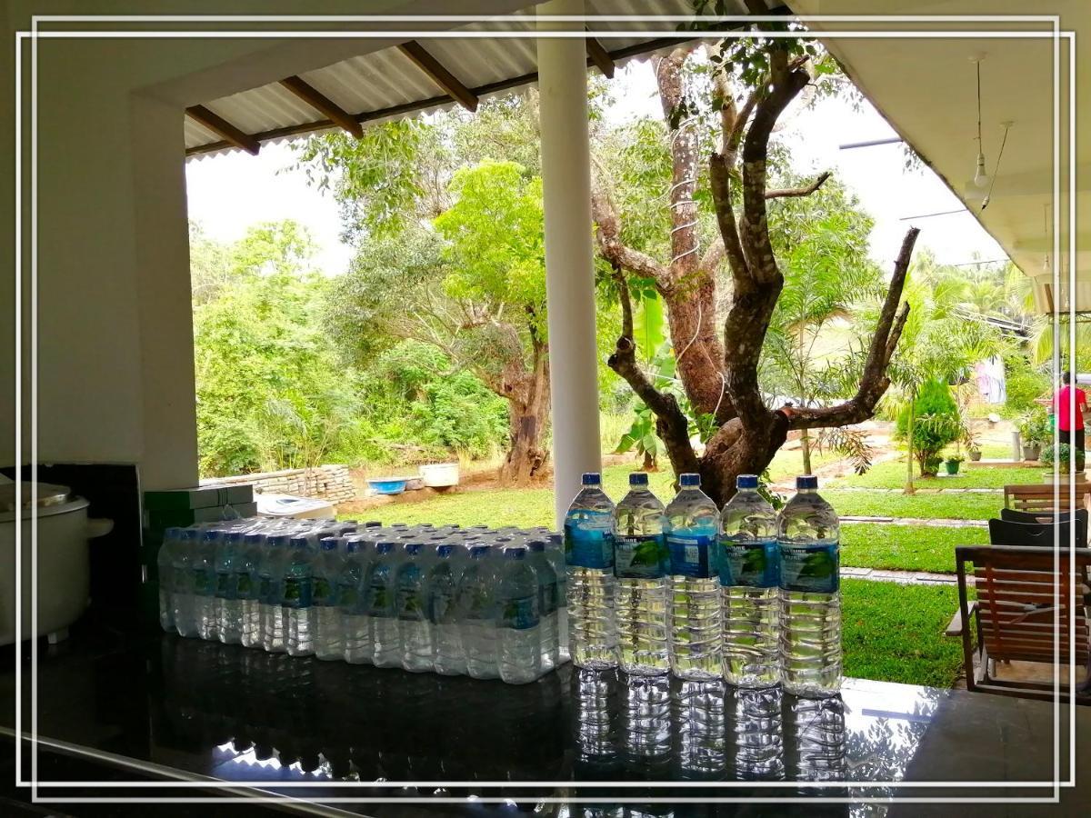 Sigiriya Green Garden Homestay Экстерьер фото