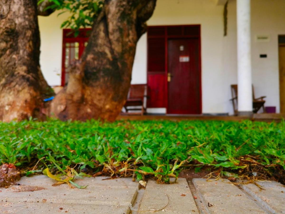 Sigiriya Green Garden Homestay Экстерьер фото